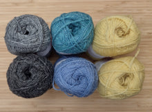 Load image into Gallery viewer, Shetland Wool Week hat yarn pack