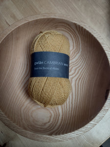 Cambrian wool - Mineral