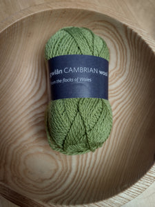 Cambrian wool - Gwymon