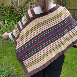 Anyway Poncho Kit