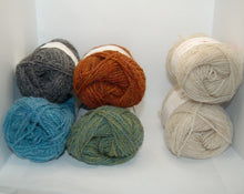 Load image into Gallery viewer, Shetland Wool Week hat yarn pack
