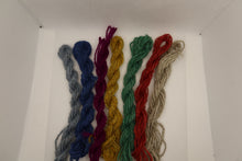 Load image into Gallery viewer, Shetland combed tops - Hand Dyed
