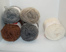 Load image into Gallery viewer, Shetland Wool Week hat yarn pack
