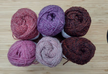 Load image into Gallery viewer, Shetland Wool Week hat yarn pack
